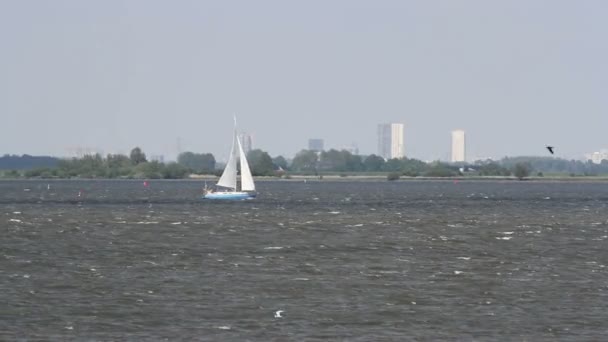 Segelbåt i Nederländerna — Stockvideo