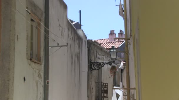 Tvätt i Lissabon, portugal — Stockvideo