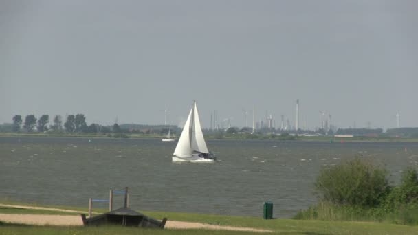 Zeilboot in Nederland — Stockvideo