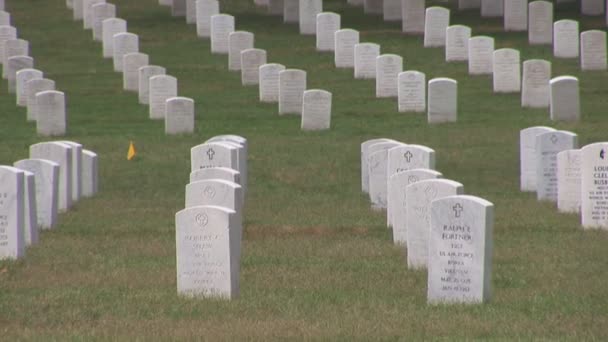 Cementerio de Arlington . — Vídeo de stock