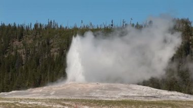 Yellowstone Ulusal Parkı 'nda Eski Sadık