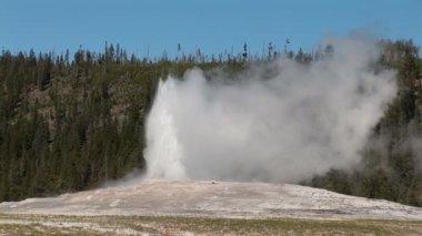 Yellowstone Ulusal Parkı 'nda Eski Sadık