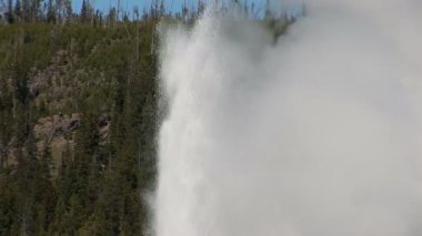 Yellowstone Ulusal Parkı 'nda Eski Sadık