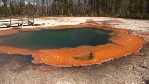 Piscine d'émeraude dans le bassin de sable noir du parc national Yellowstone — Video