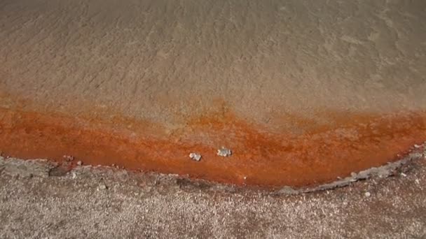 Rainbow Pool in Yellowstone National Park — Stock Video