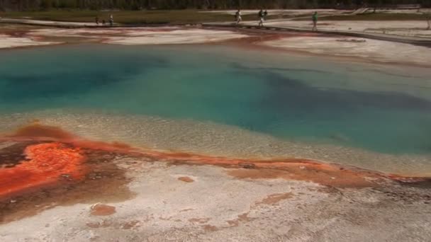 Bazén duha v národním parku yellowstone — Stock video