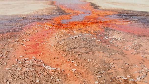 Regenboog zwembad in het nationaal park yellowstone — Stockvideo