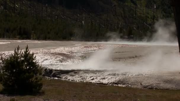 Geyser em erupção — Vídeo de Stock