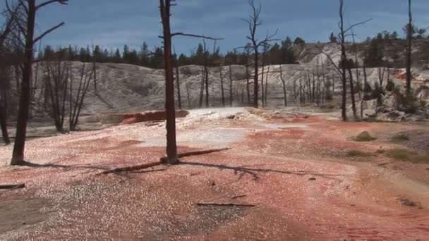 Mamutí horké prameny v Yellowstonském národním parku — Stock video