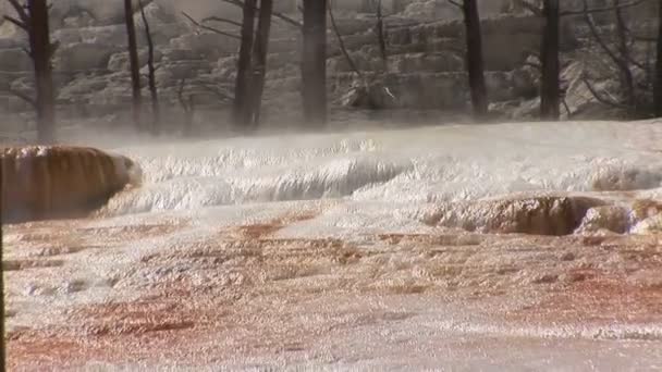 Mamute Hot Springs no Parque Nacional de Yellowstone — Vídeo de Stock