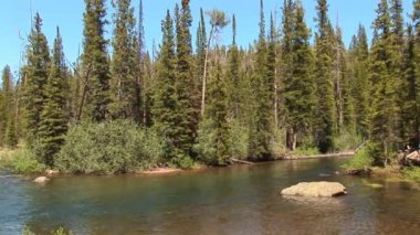 kayalık dağ manzarası
