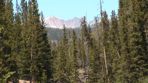 Paysage des montagnes Rocheuses 