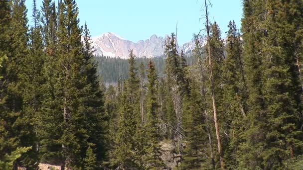 Rocky Mountain scenery — Stock Video