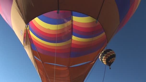 Globos de aire caliente — Vídeo de stock