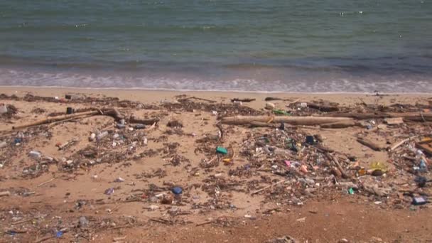 Playa con contaminación — Vídeo de stock