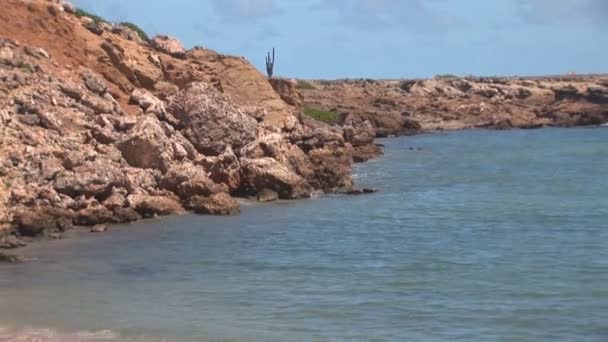 Playa con contaminación — Vídeo de stock