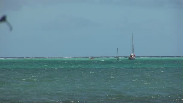 Sailboat and mangrove trees. Shot on Bonaire, Netherlands Antilles. — Stock Video