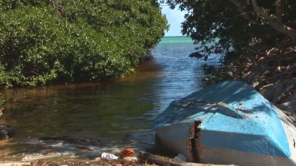 De vieux bateaux à rames. Tourné sur Bonaire, Antilles néerlandaises — Video