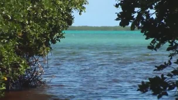 Eski kürekli. Bonaire, Hollanda Antilleri vurdu — Stok video