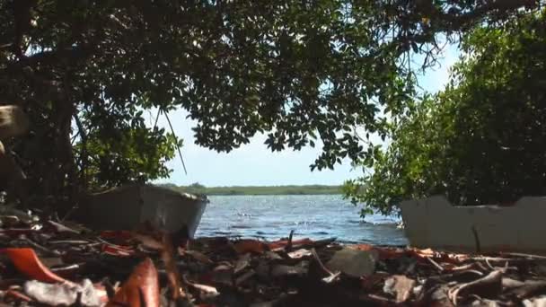 Régi rowboats. Lövés a Bonaire, Holland Antillák — Stock videók