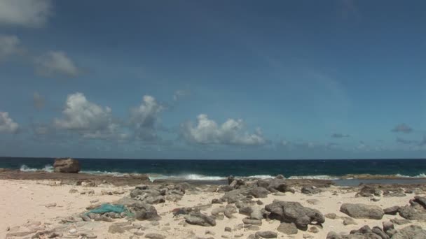 Boulder och en grov shore — Stockvideo