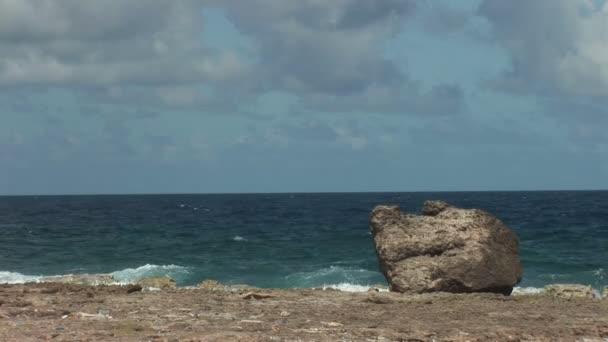 ボルダーと大まかな海岸 — ストック動画