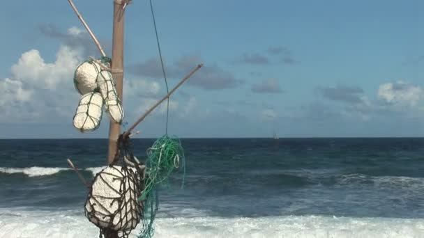Madera a la deriva en Bonaire, Antillas Holandesas . — Vídeo de stock