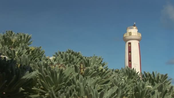 Faro en Bonaire — Vídeo de stock