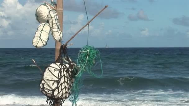 Naplavené dříví na bonaire, Nizozemské Antily. — Stock video