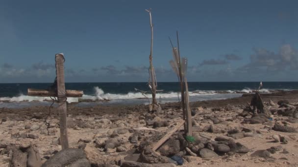 Madera a la deriva en Bonaire — Vídeos de Stock