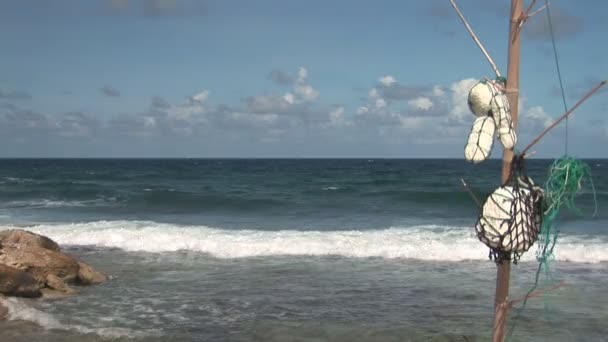 Drijfhout op bonaire, Nederlandse Antillen. — Stockvideo