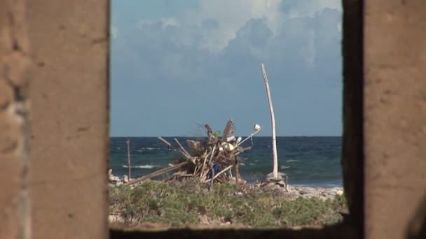 Ruína velha em costa áspera em Bonaire, Antilhas Holandesas . — Vídeo de Stock