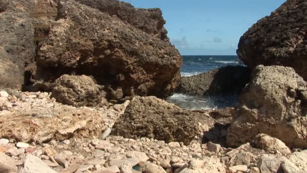 Rough coast on Curacao, Netherlands Antilles — Stock Video