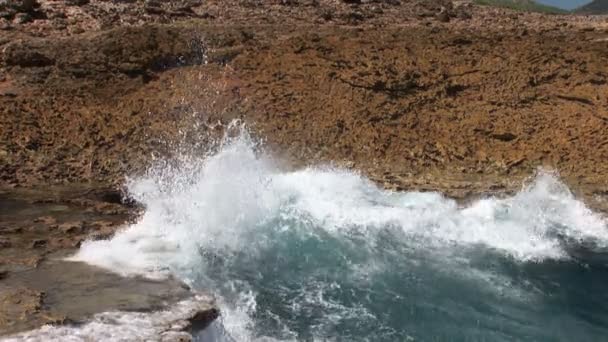 Rough coast on Curacao, Netherlands Antilles — Stock Video