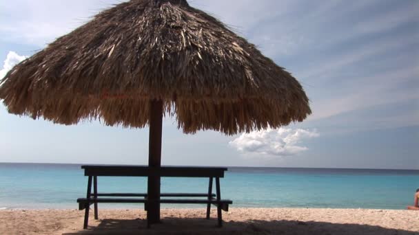 Playa tropical con una agradable brisa — Vídeo de stock