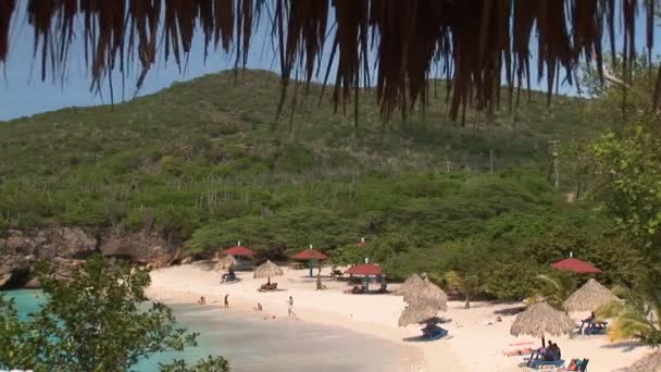 Plage tropicale avec une brise agréable — Video