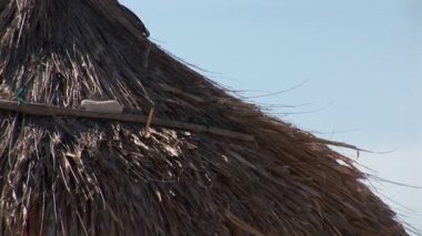 curacao, Hollanda Antilleri Karayip adada tropikal plaj.