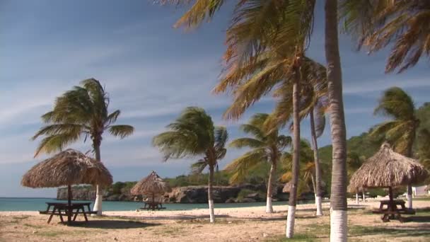 Tropisch strand met een leuk fluitje van een cent — Stockvideo