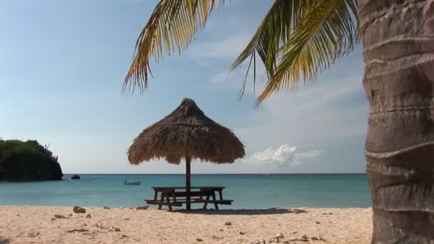 Tropical beach with a nice breeze — Stock Video