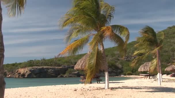 Hoş bir esinti ile tropikal plaj — Stok video