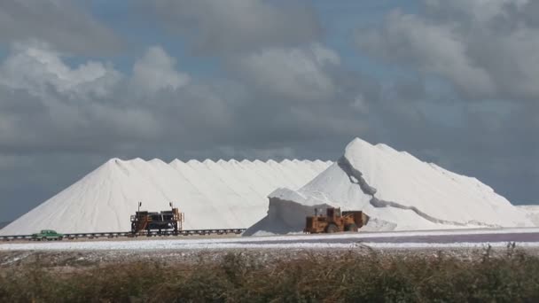 Солевая ферма с грузовиком — стоковое видео