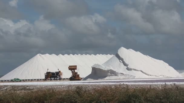 Granja de sal con camión — Vídeo de stock