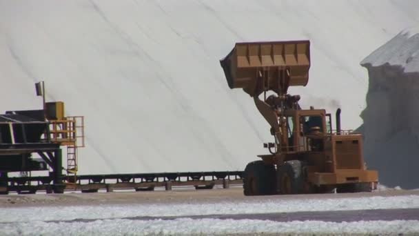 Fazenda de sal com caminhão — Vídeo de Stock