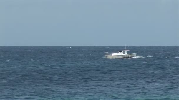Pequeno barco de pesca — Vídeo de Stock