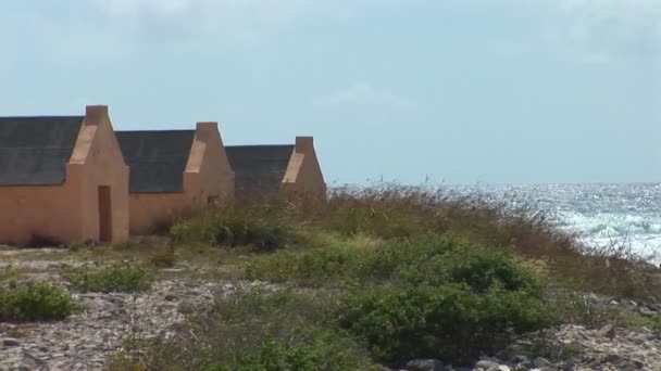 ボネール、オランダ領アンティル諸島に赤い奴隷小屋 — ストック動画