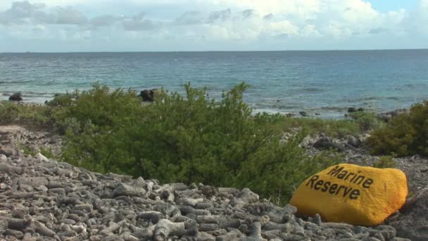 Piedra amarilla que marca la Reserva Marina — Vídeo de stock