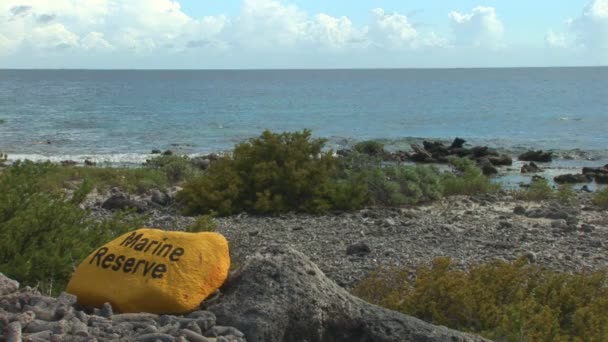 Pedra amarela marcando a Reserva Marinha — Vídeo de Stock