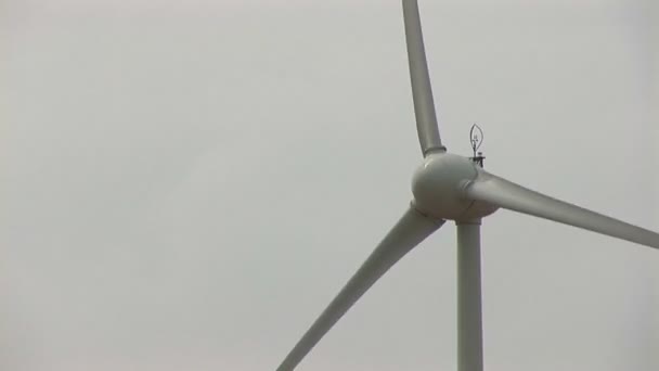 Molino de viento en Bonaire, Antillas Holandesas — Vídeos de Stock