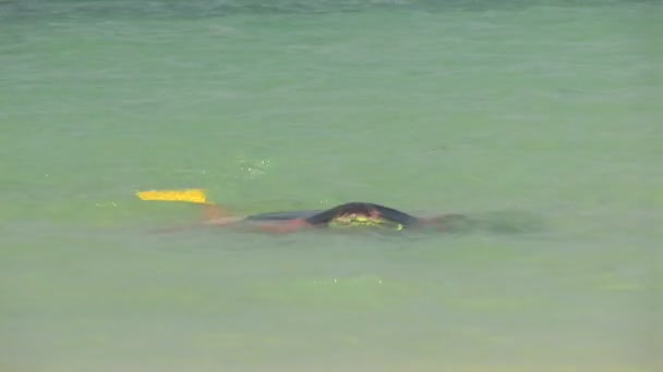 Chica haciendo snorkel en el océano — Vídeos de Stock