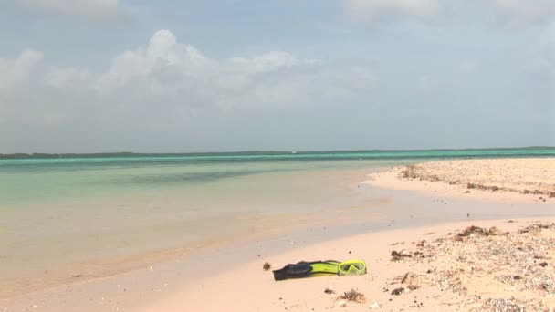 Flippers máscara na praia — Vídeo de Stock